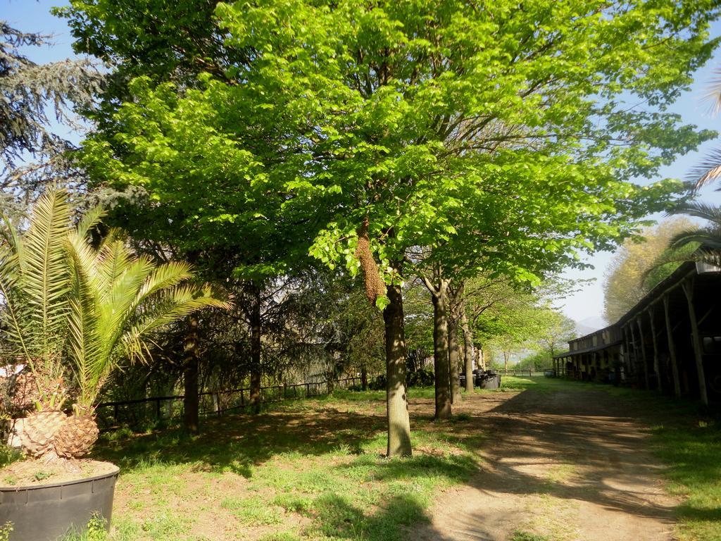 Tenuta Montelaura Forino Exterior foto